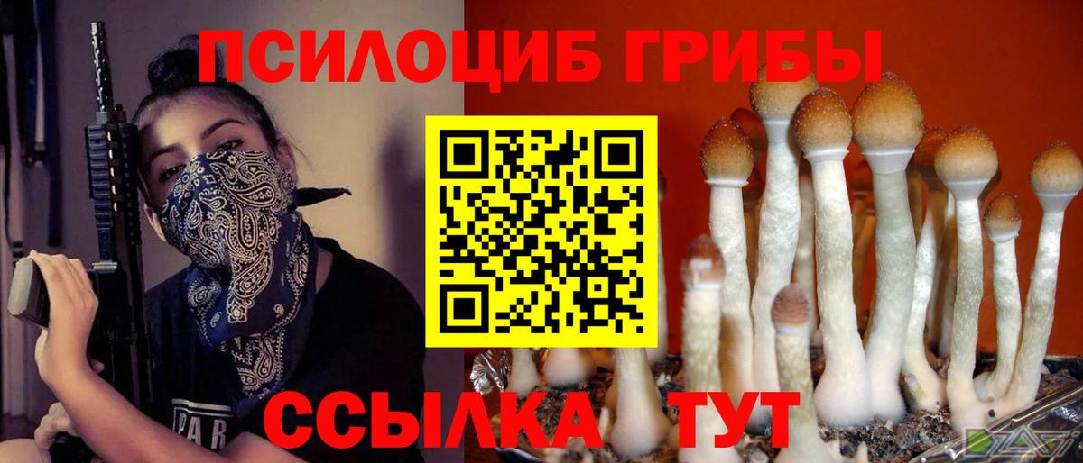 Галлюциногенные грибы мухоморы  Вход с VPN  Псилоцибиновые грибы Psilocybe  Чусовой 